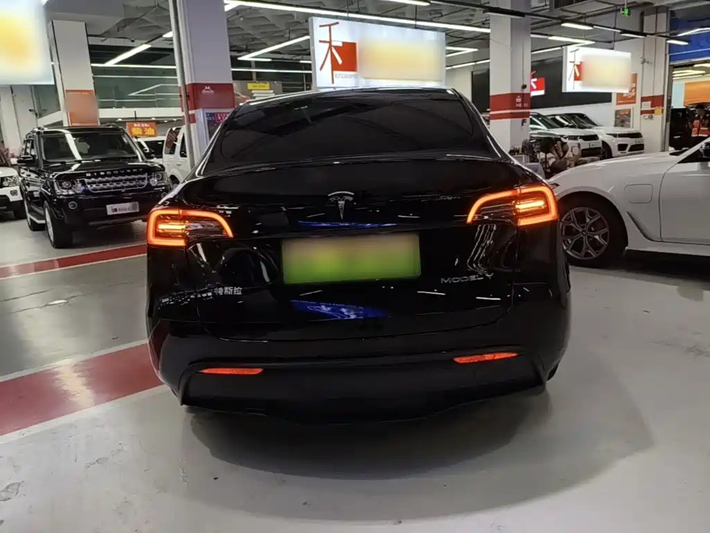 Tesla Model Y — миниатюра 6
