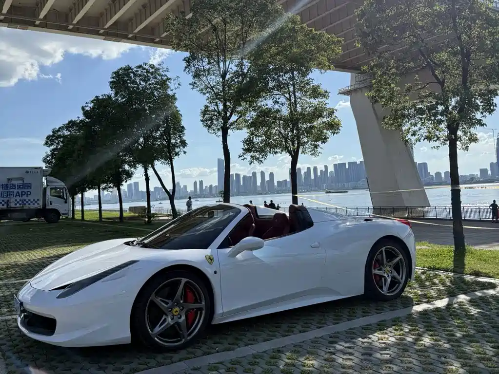 Ferrari 458 — миниатюра 10