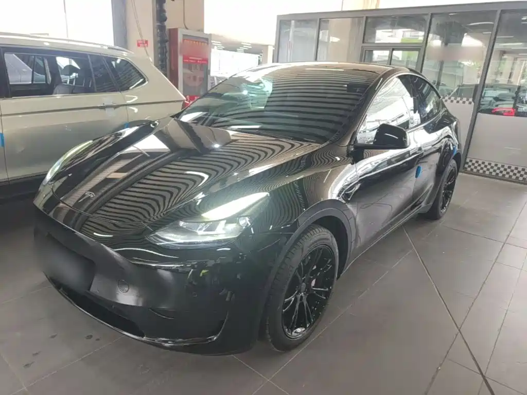 Tesla Model Y — миниатюра 2
