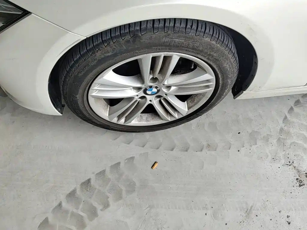 BMW 3 Series — миниатюра 25