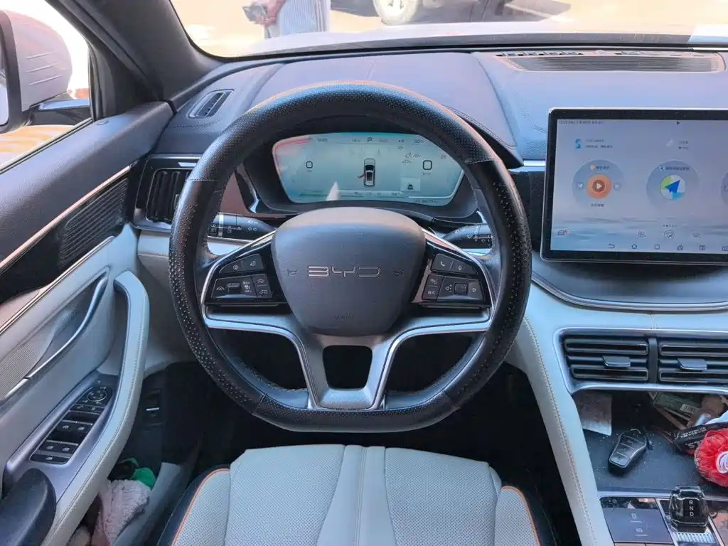 BYD PLUS New Energy — миниатюра 11