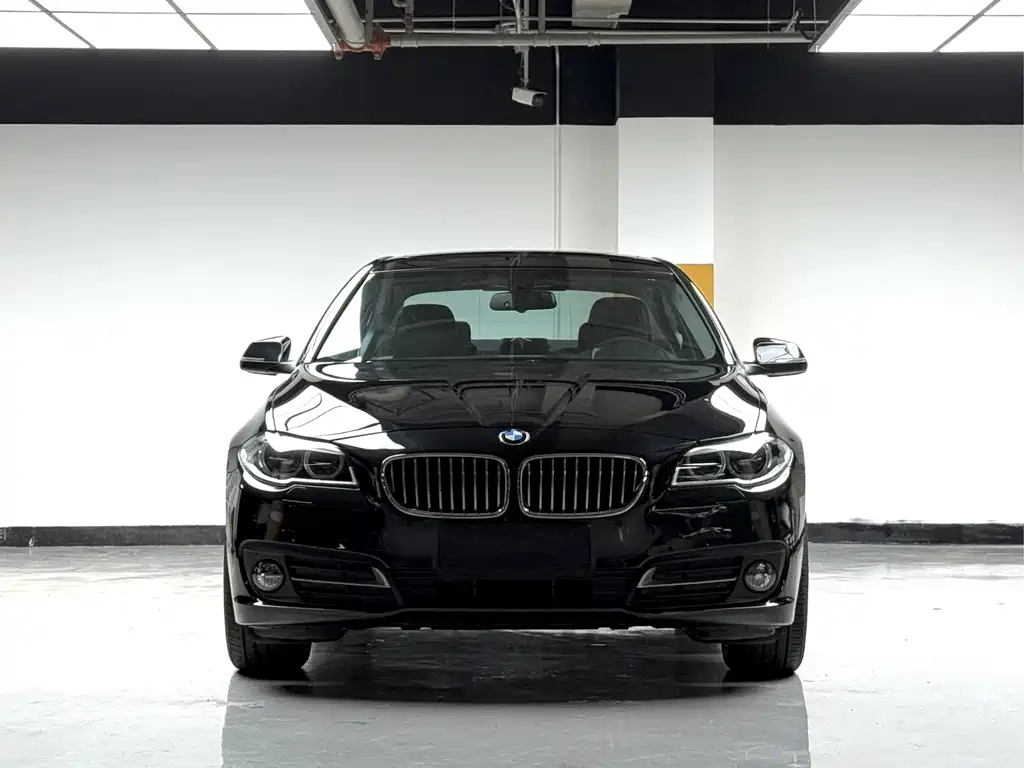 BMW 5 Series — миниатюра 2