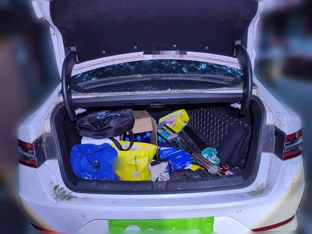 BYD Qin Pro NEV — миниатюра 10