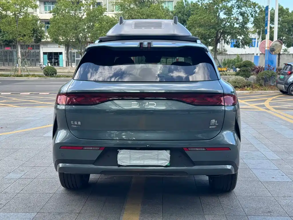 BYD Дон Л. — миниатюра 5