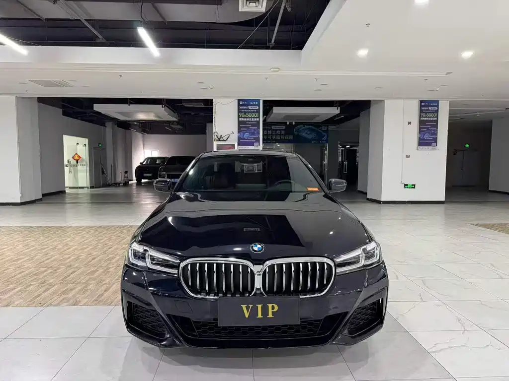 BMW 5 Series — миниатюра 2