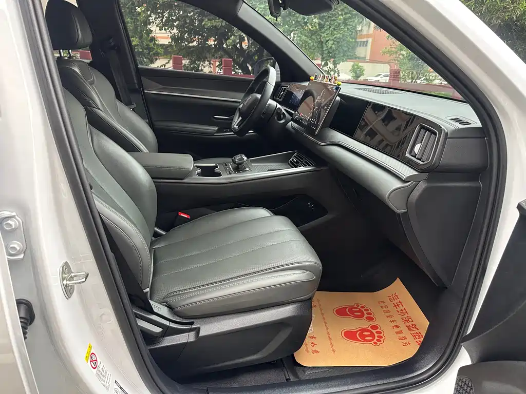 BYD Pro New Energy — миниатюра 12