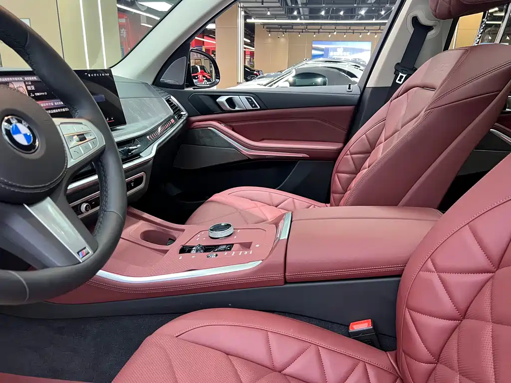 BMW X5 — миниатюра 9