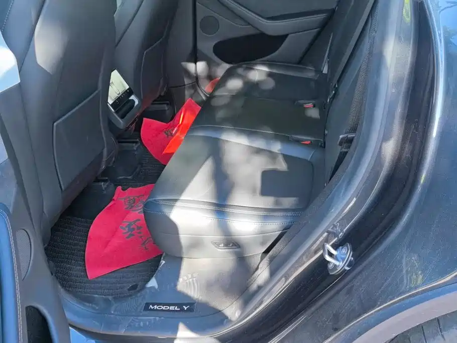Tesla Model Y — миниатюра 11