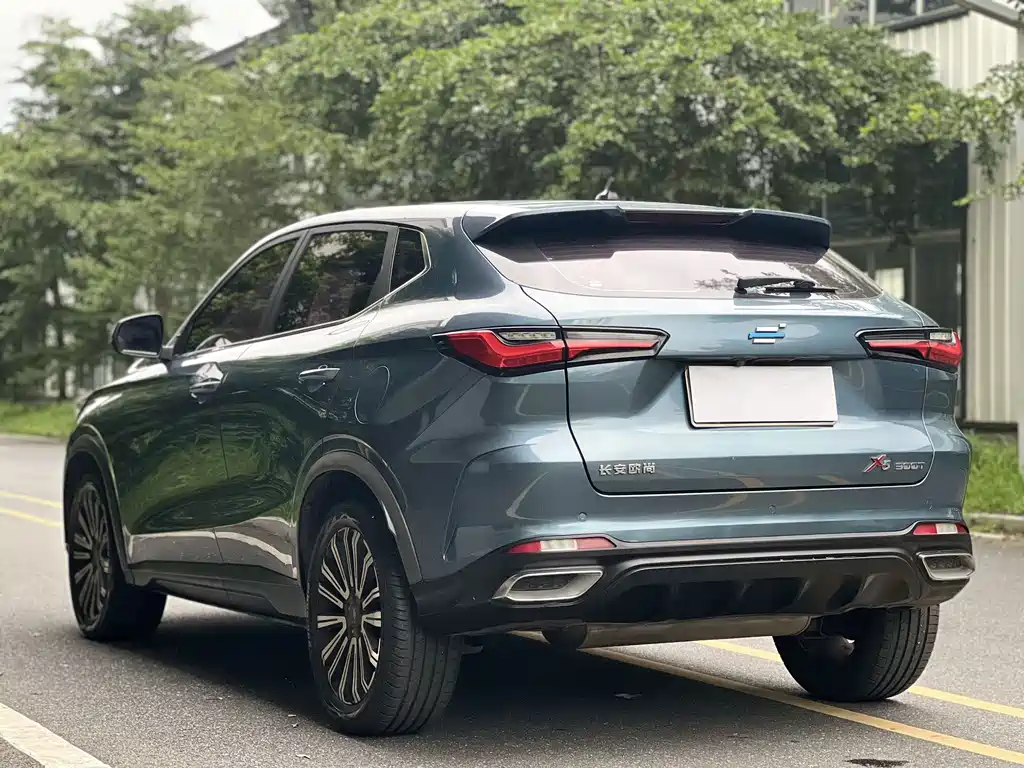 Oshan Oushang X5 — миниатюра 16