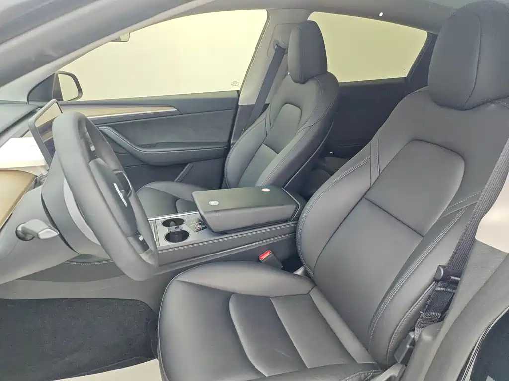 Tesla Model Y — миниатюра 4