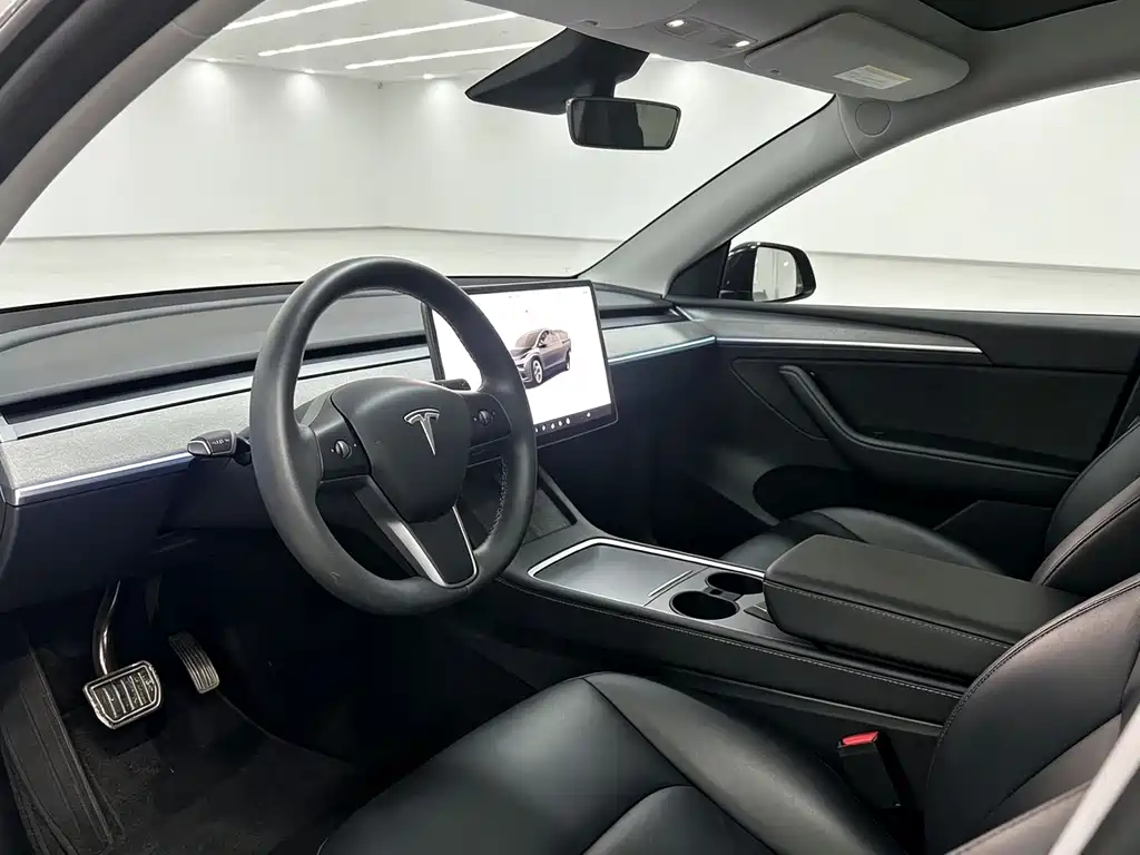Tesla Model Y — миниатюра 5