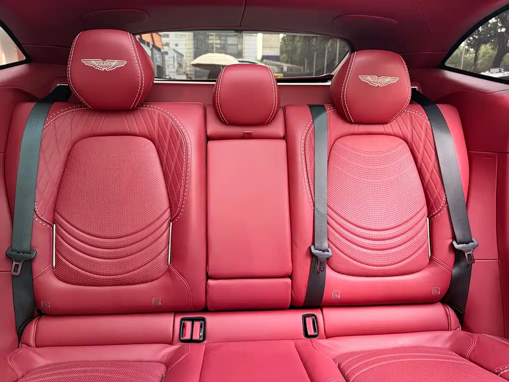Aston Martin DBX — миниатюра 33