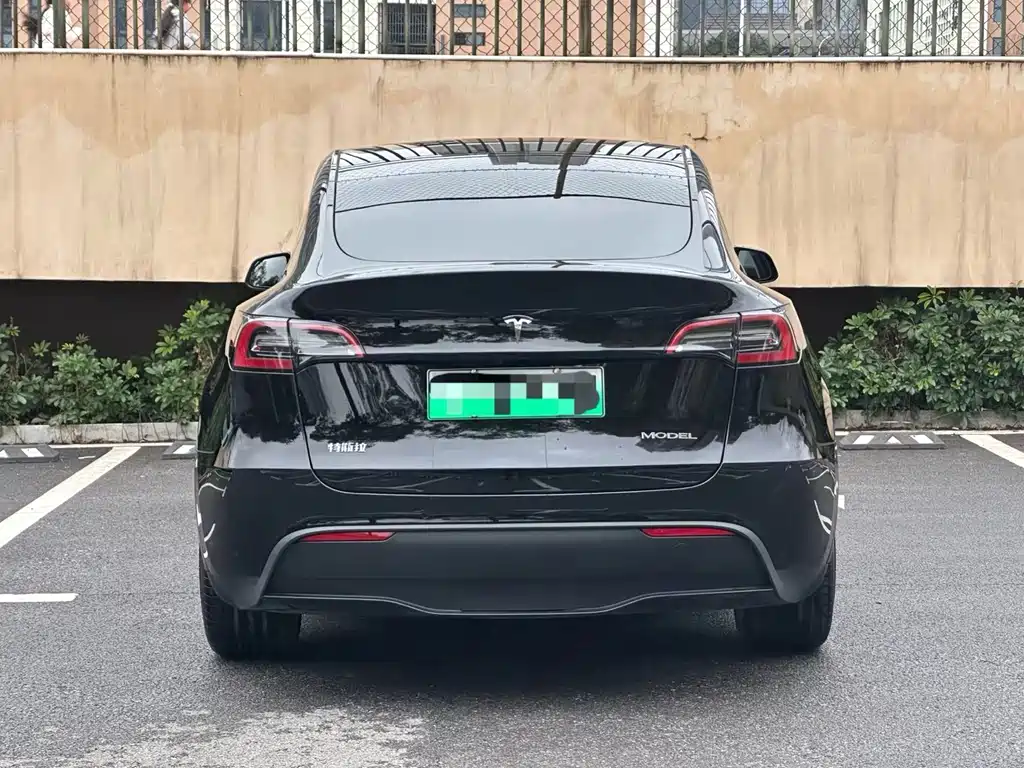 Tesla Model Y — миниатюра 5