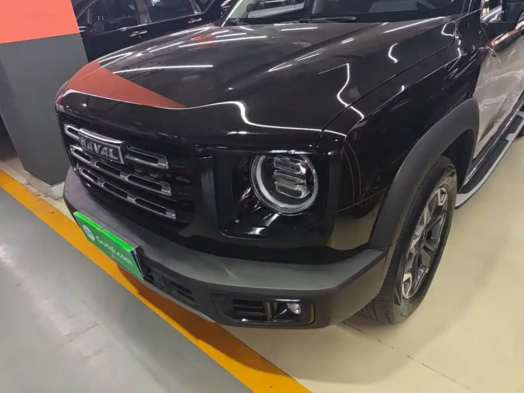 Haval Big Dog — миниатюра 24
