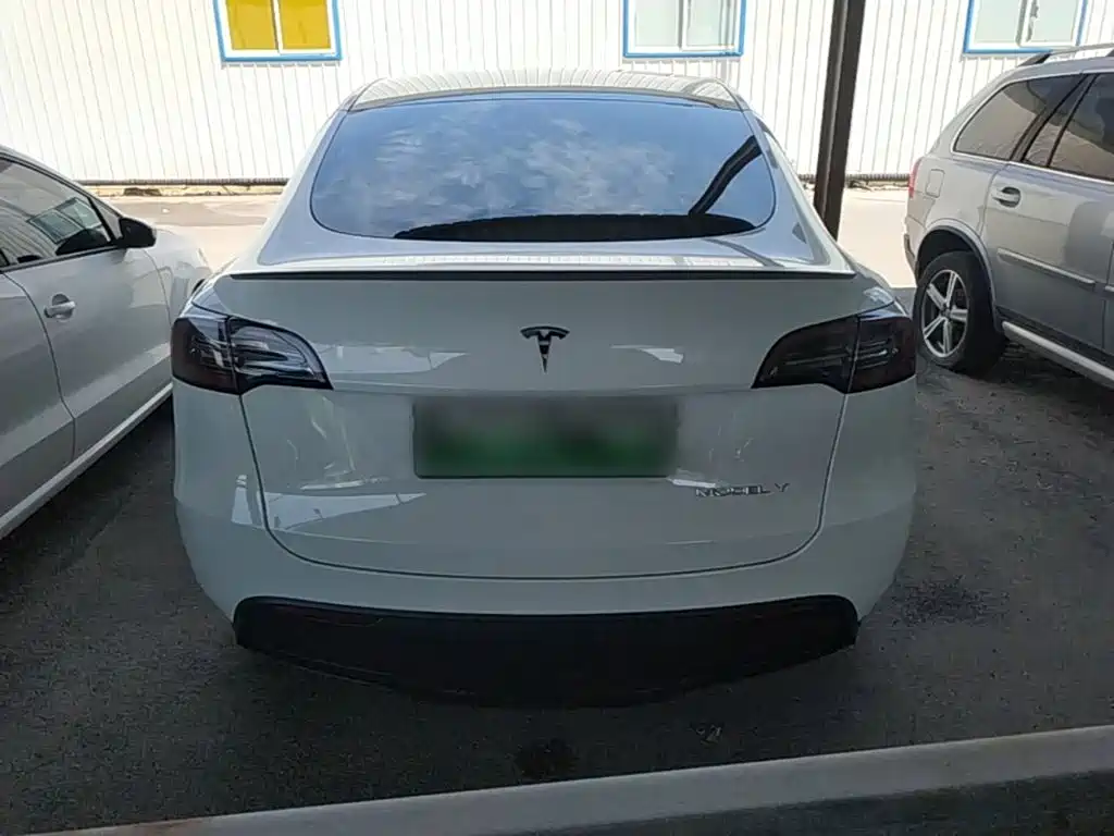 Tesla Model Y — миниатюра 6