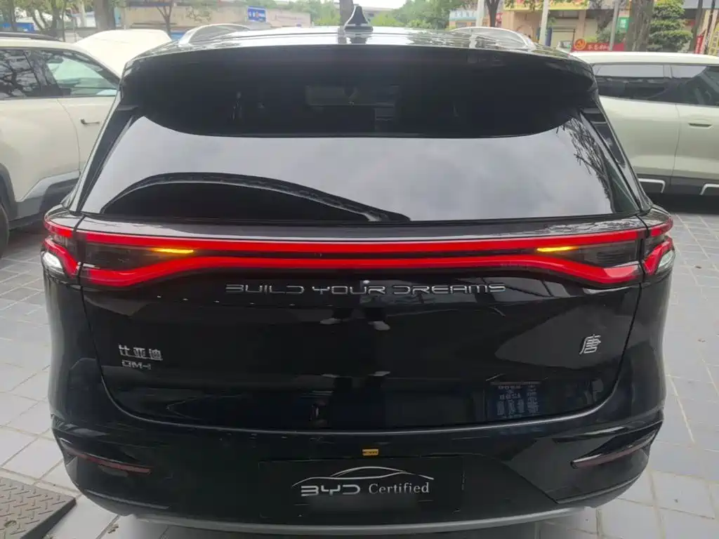 BYD Tang New Energy — миниатюра 4