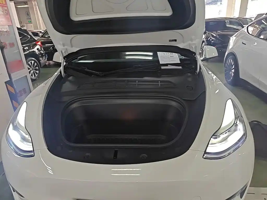 Tesla Model Y — миниатюра 20
