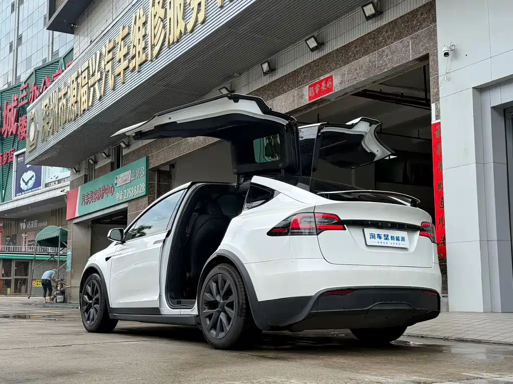 Tesla Model X — миниатюра 3