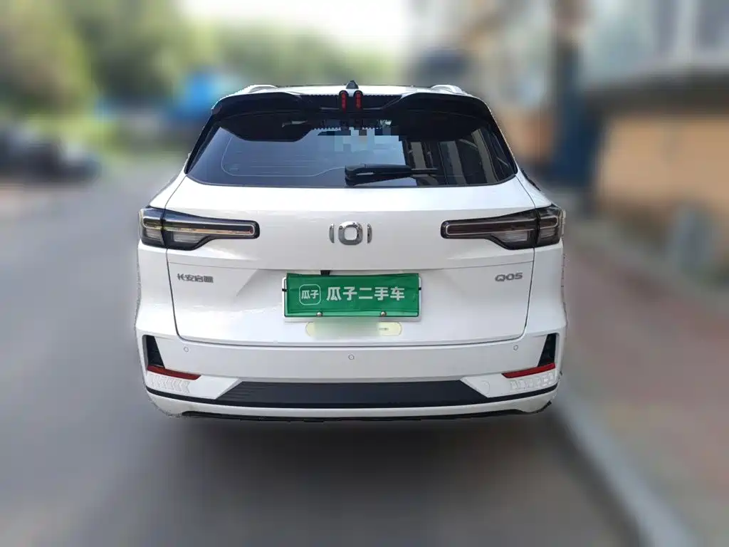 Qiyuan Чанг Ан Кай Q05 классика. — миниатюра 4