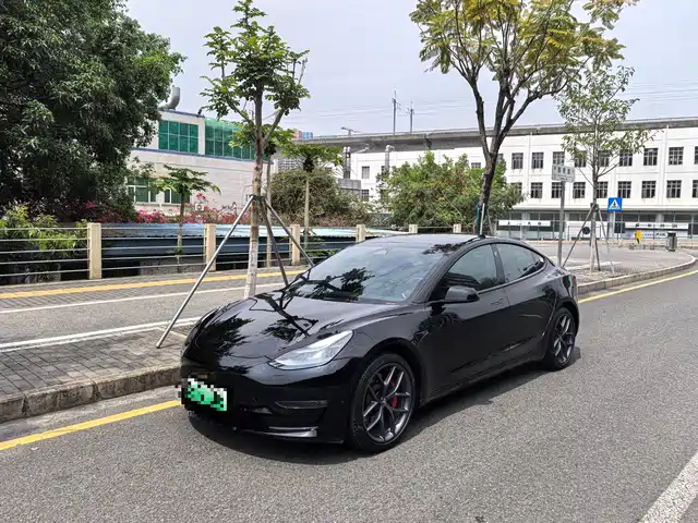TESLA MODEL 3 2022