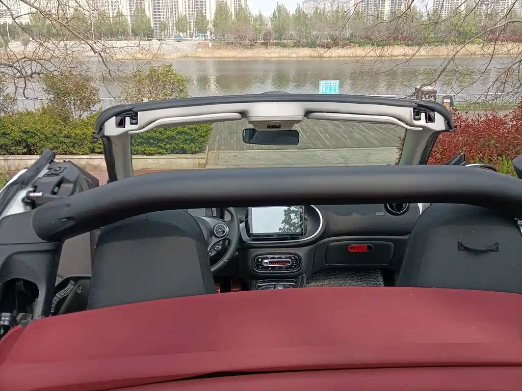 smart Smart Fortwo — миниатюра 13