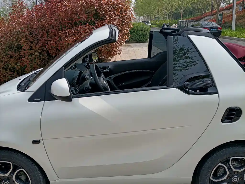 smart Smart Fortwo — миниатюра 15