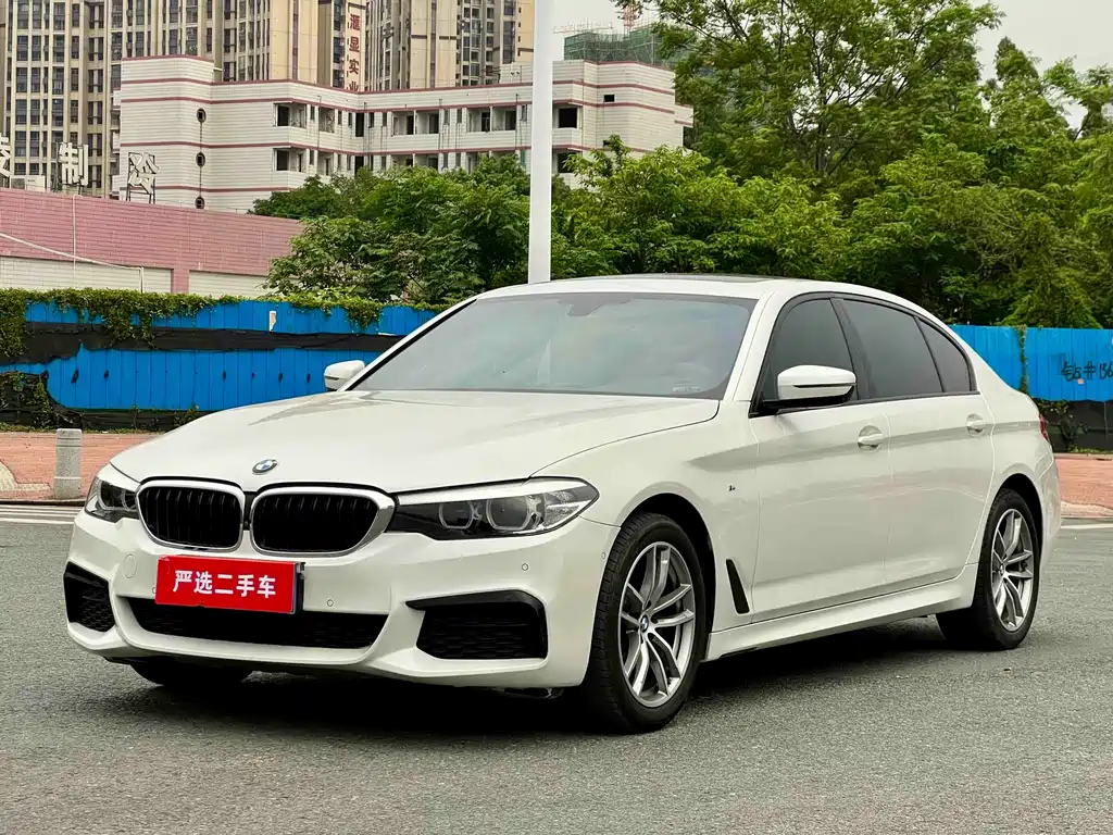 BMW 5 Series 2019