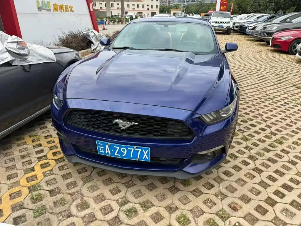 Ford Mustang — миниатюра 2