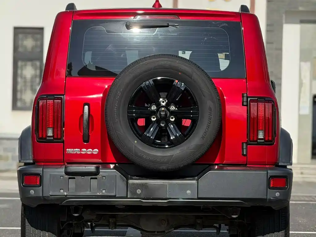 Tank 300 Offroad Edition 2.0T Conqueror, фото 3