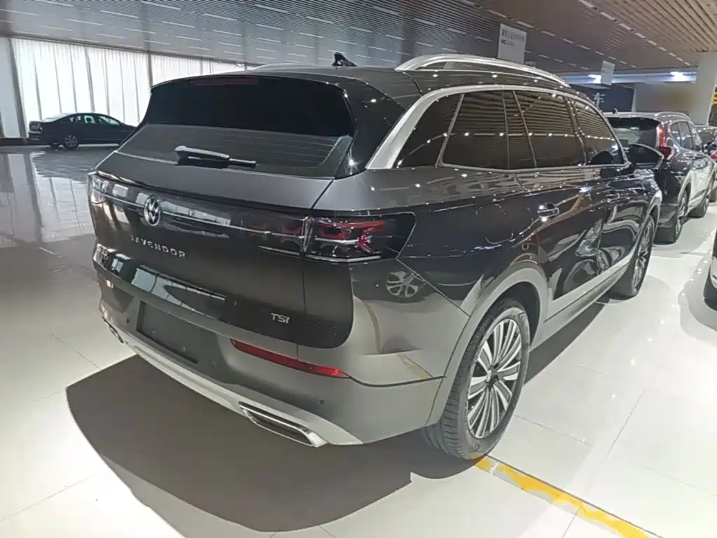 Volkswagen Tavendor — миниатюра 7