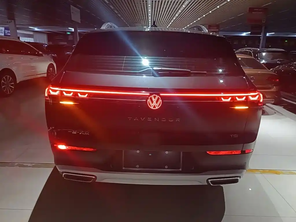 Volkswagen Tavendor — миниатюра 6