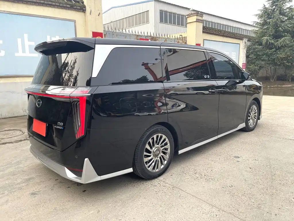 GAC Motor Trumpchi M8 — миниатюра 8
