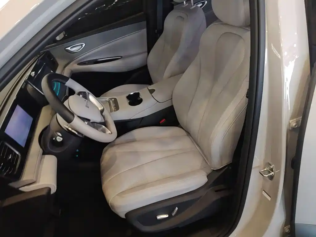 BYD Haisi 06 — миниатюра 15