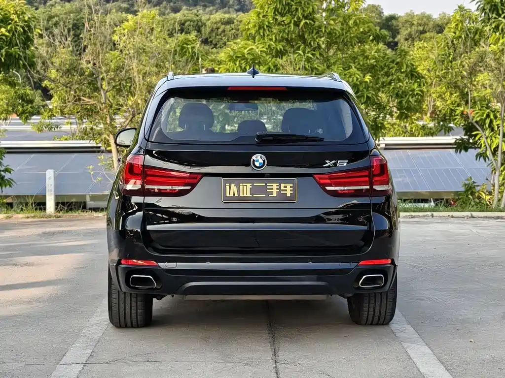 BMW X5 (Import) — миниатюра 10