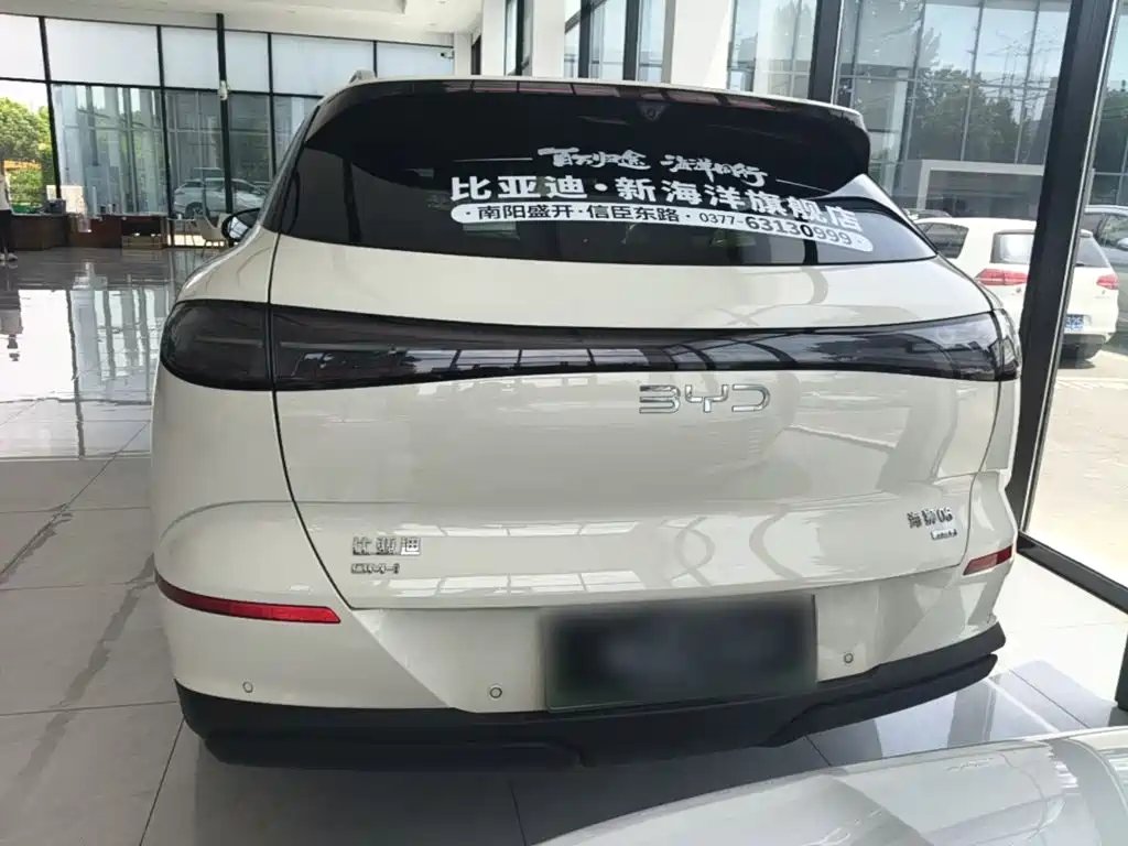 BYD Haisi 06 — миниатюра 6