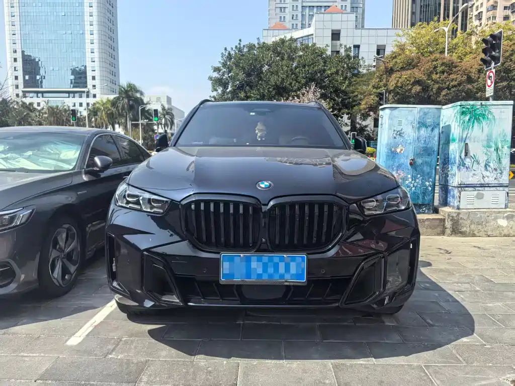 BMW X5 — миниатюра 3