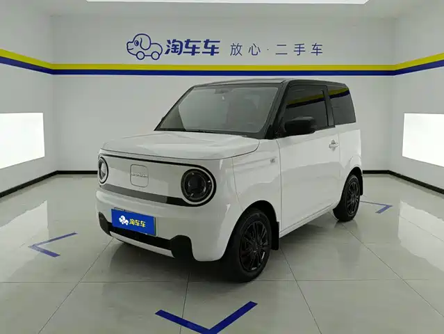 2024 Geely LC (Panda)
