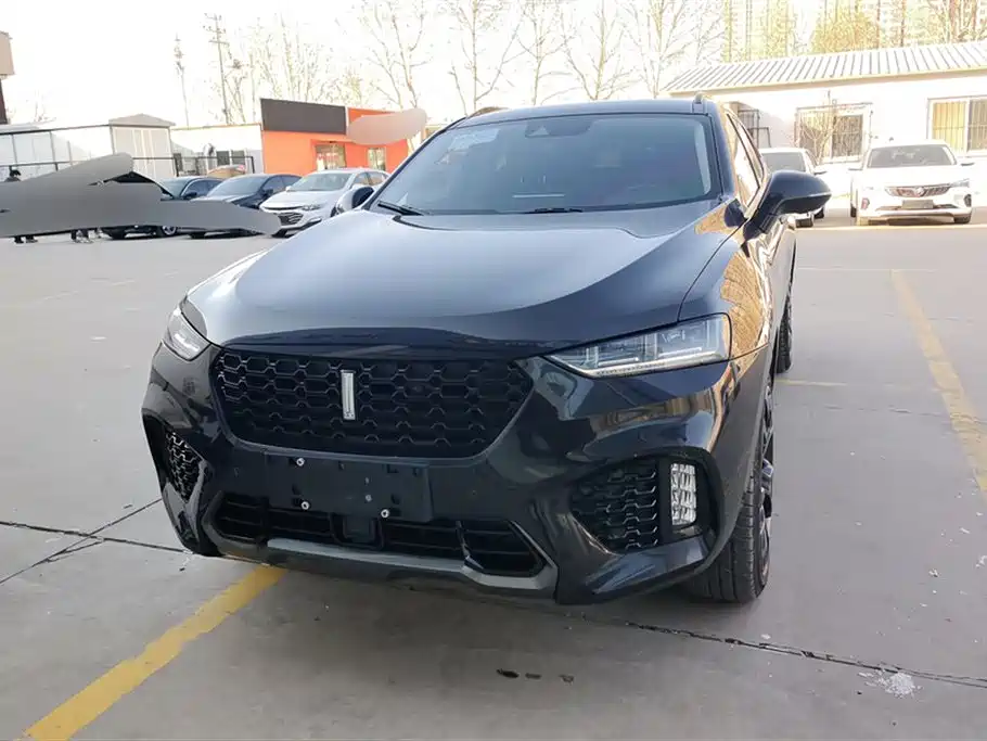 WEI PAI WEI BRAND VV7