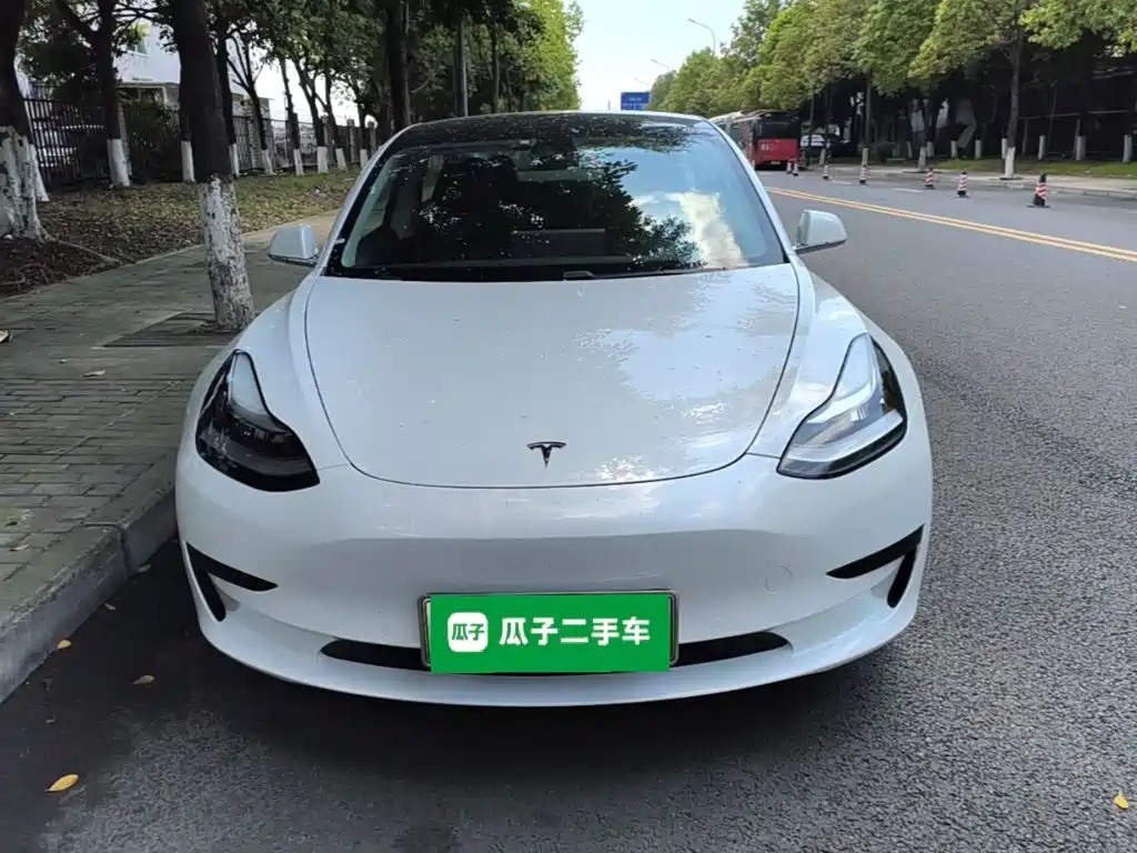 Tesla Model 3 — миниатюра 3