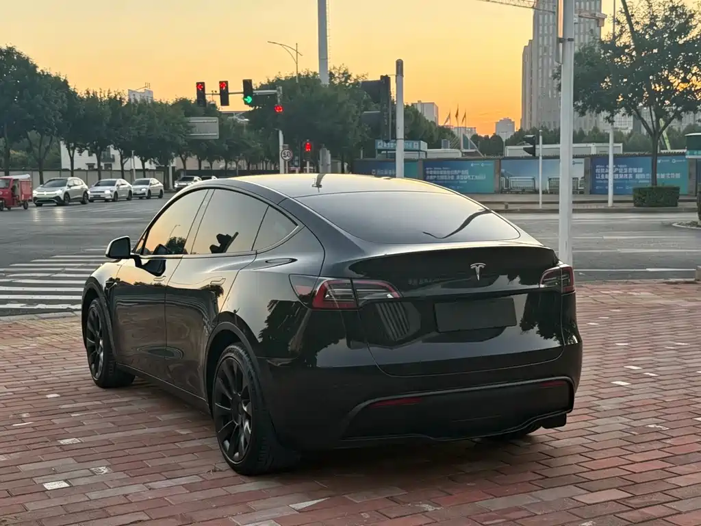 Tesla Model Y — миниатюра 9