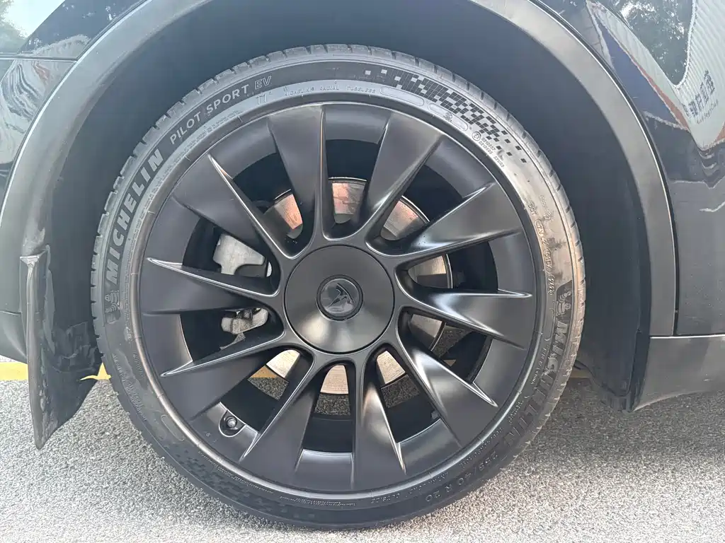 Tesla Model Y — миниатюра 11