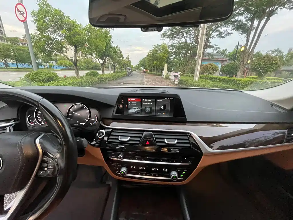 BMW 5 Series 5 2018 528Li