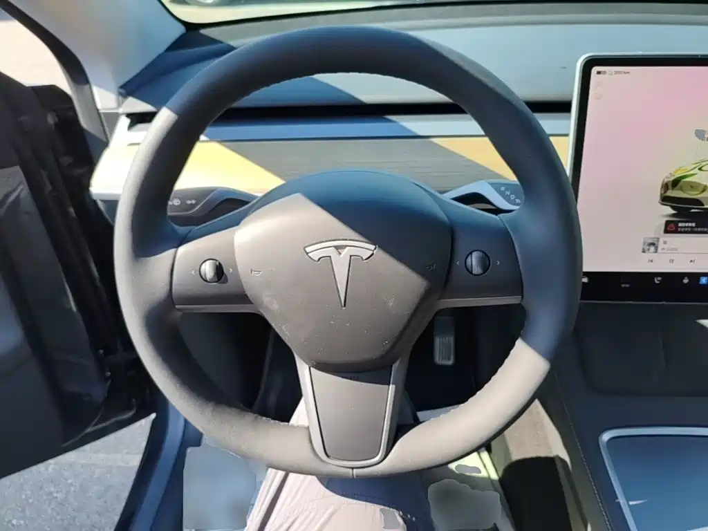 Tesla Model Y — миниатюра 11