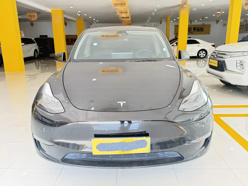 Tesla Model Y — миниатюра 2