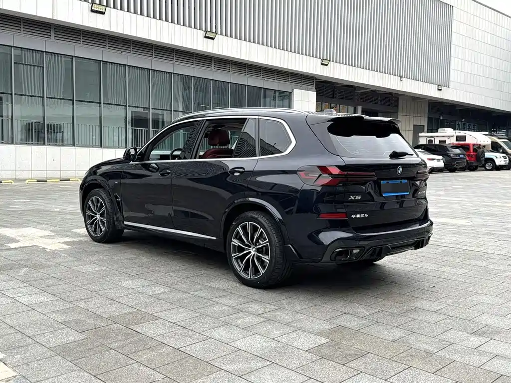 BMW X5 — миниатюра 11