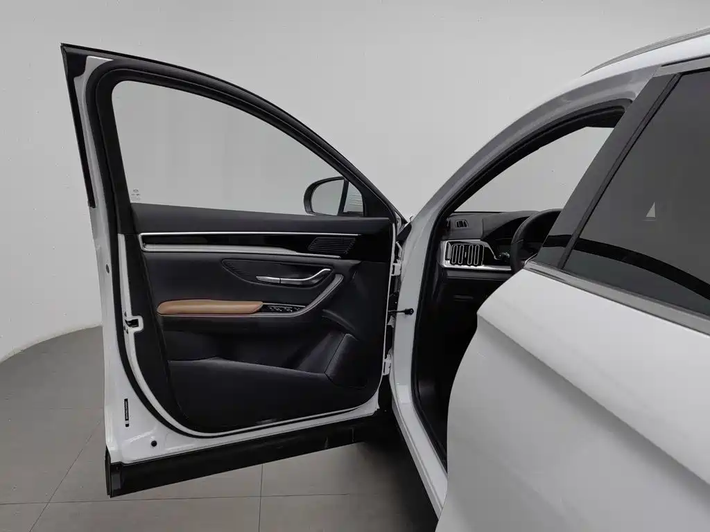 BYD PLUS — миниатюра 8