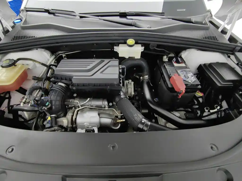 BYD PLUS — миниатюра 6