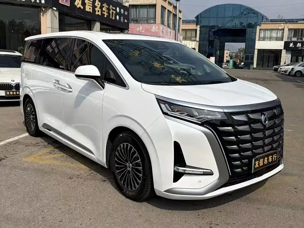Denza Denza D9 — миниатюра 3