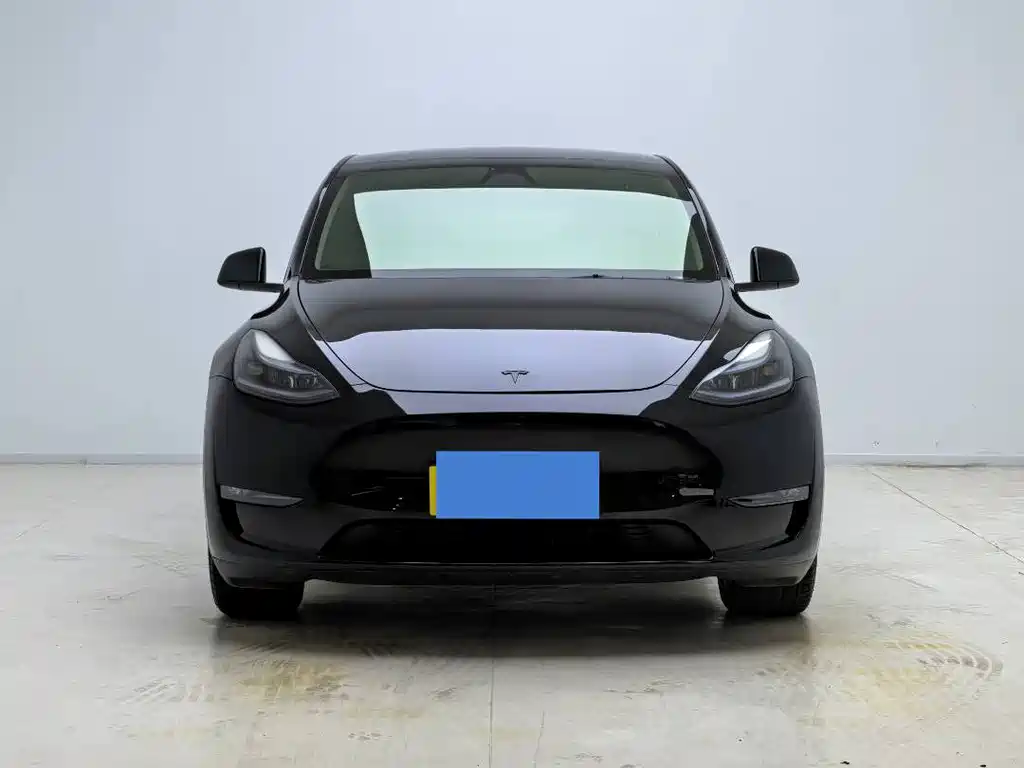 Tesla Model Y — миниатюра 2