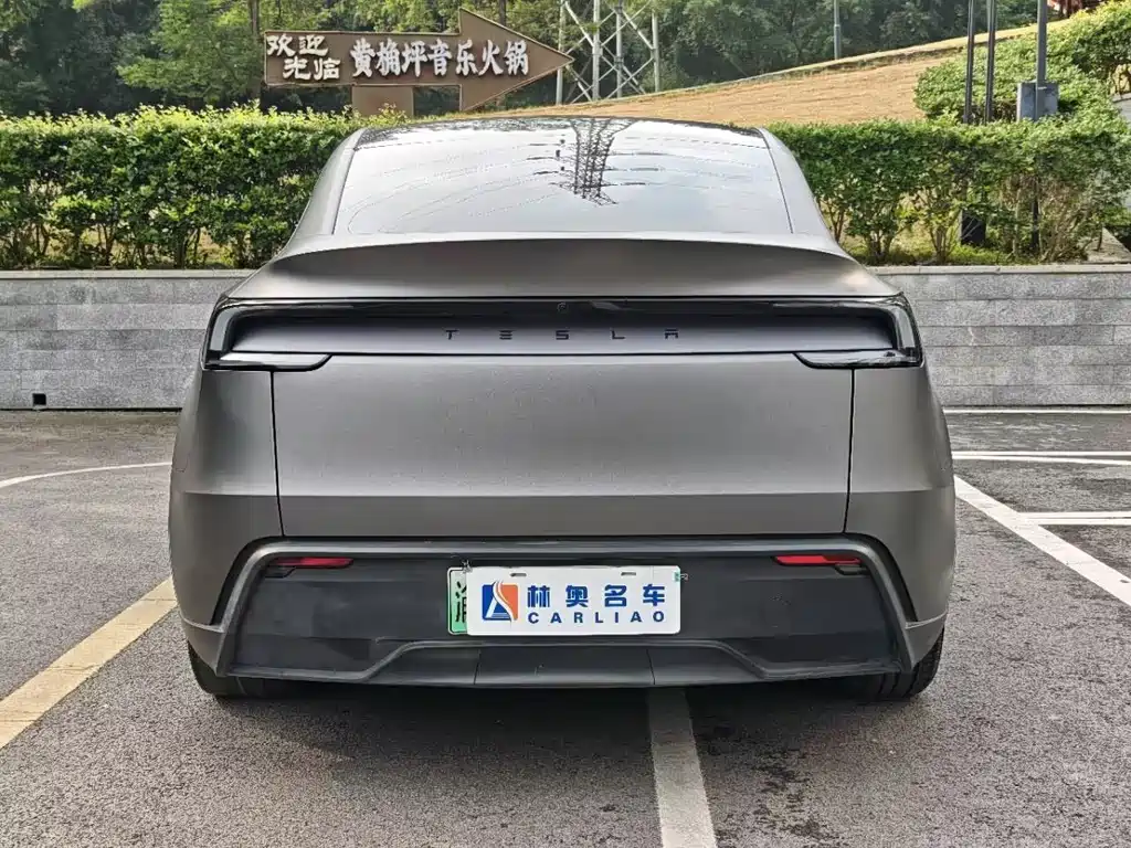 Tesla Model Y — миниатюра 28